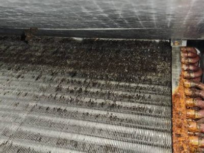 Air Conditioning Mold Removal
