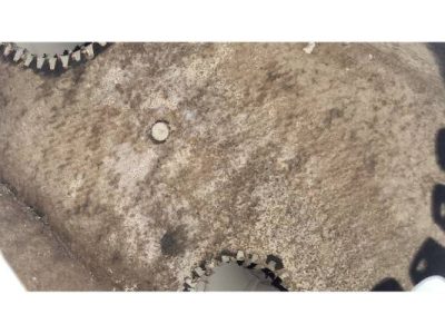 Home Dryer Vent Cleaning