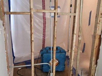 Residential Mold Removal Services