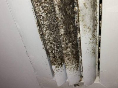 Air Vent Mold Removal