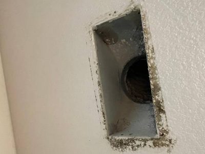 Residential Air Duct Mold Remediation