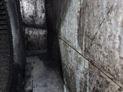 Mold in Air System