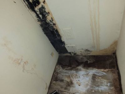 Mold in Closet