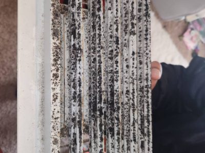 Mold on Vent