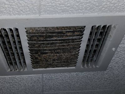 Mold on Vent