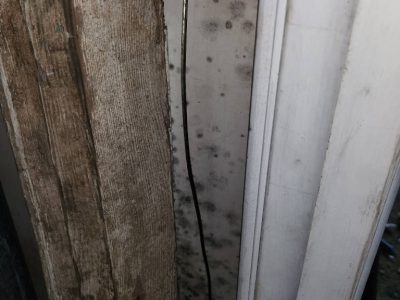 Mold on Wall