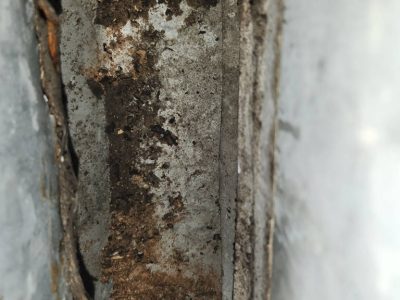 Rust Mold in Air System